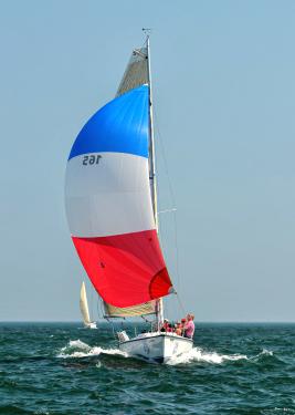 60190887 10156619294123655 3247998653150789632 n